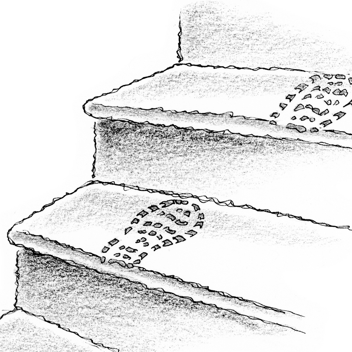 Illustration from the chapter book, "Ellie and Lex Mysteries: The Vanishing Video Games" by Craig Kunce showing muddy footprints on stairs