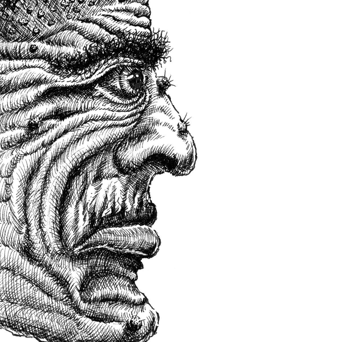 Detailed pen-and-ink drawing of a fantasy goblin
