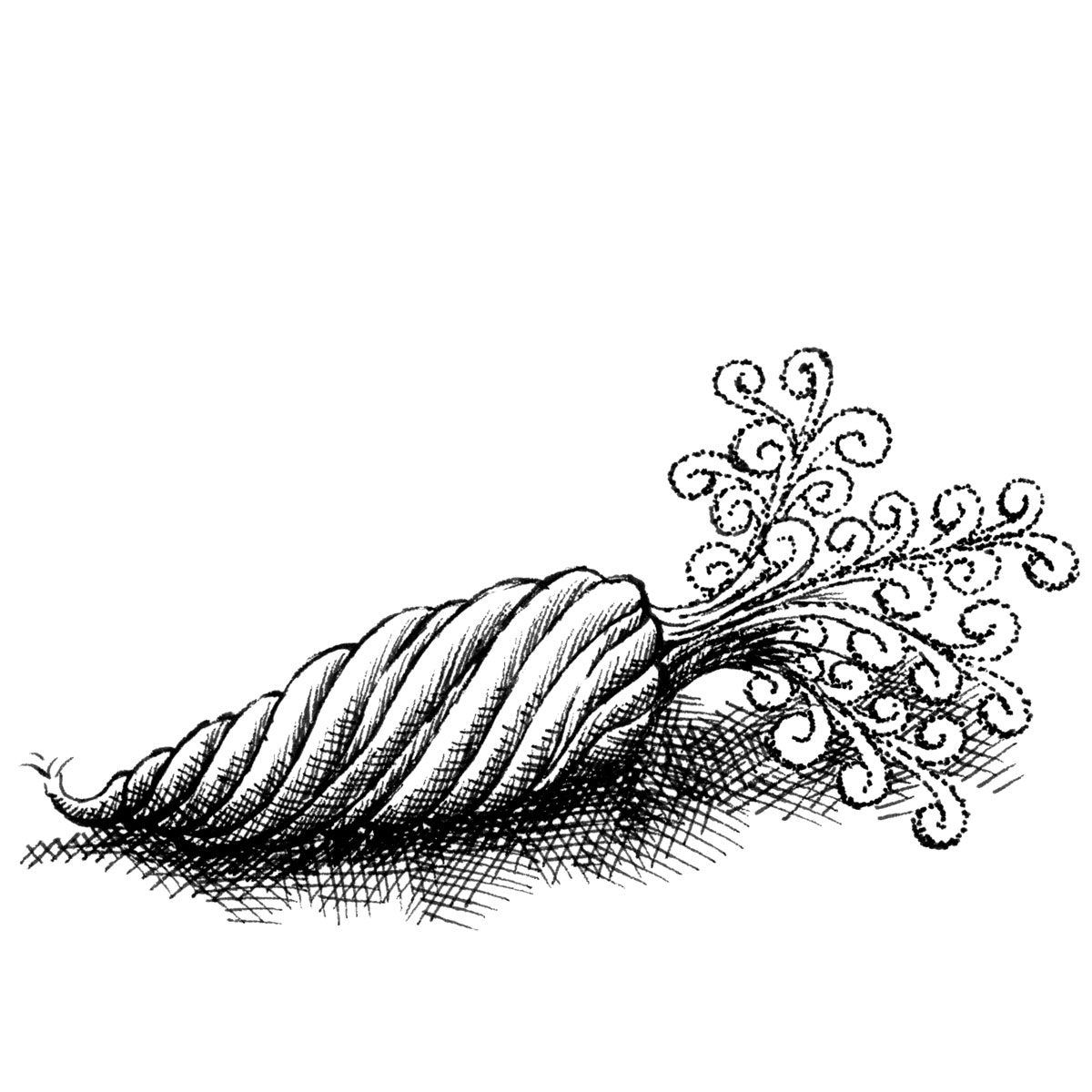 Detailed pen-and-ink drawing of a fantasy seed