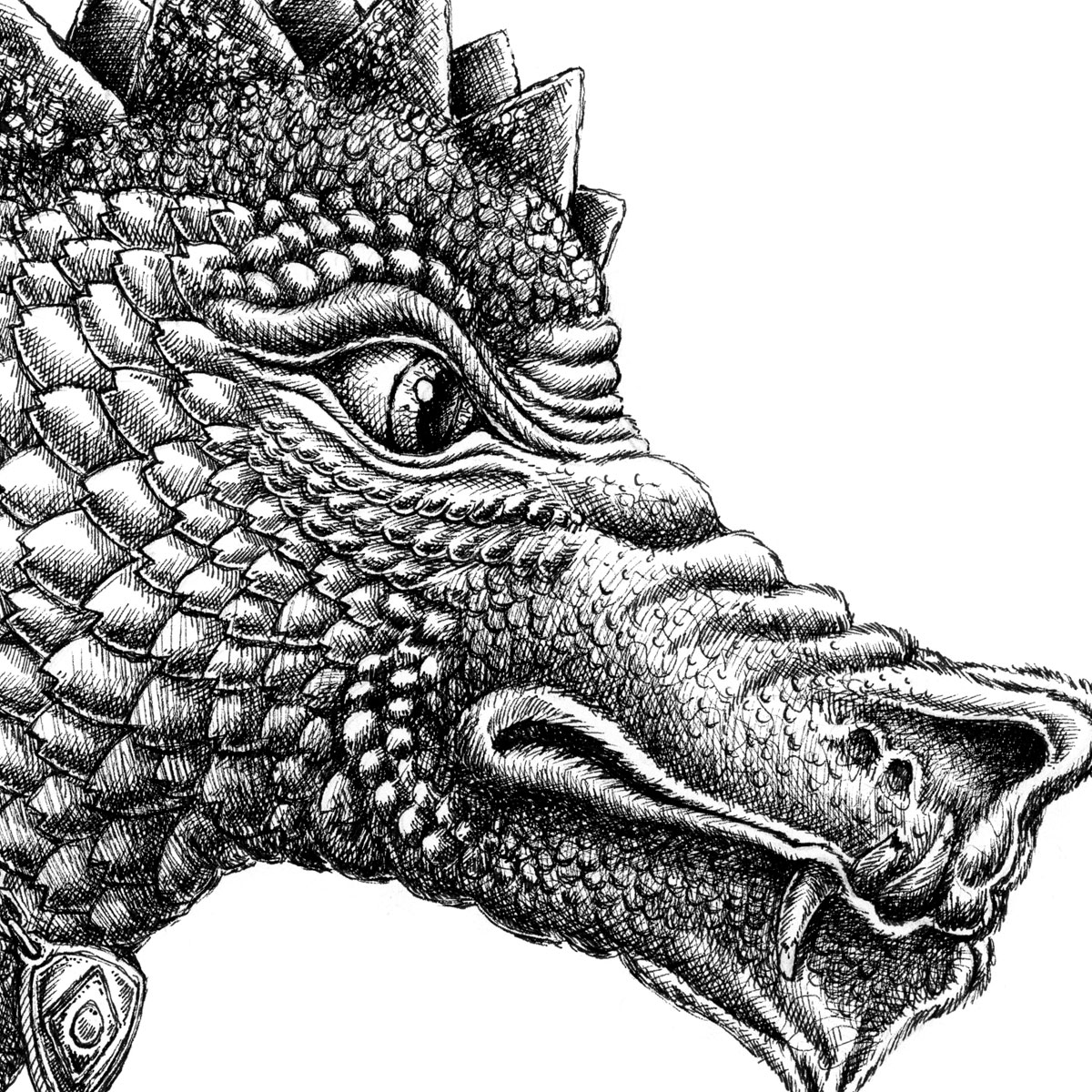 Detailed pen-and-ink drawing of a fantasy dragon